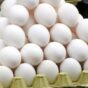 مجوز ۱۵۰۰ تن تخم مرغ در هفته صادر می شود؟!