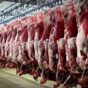 توزیع ۲۸۰۰ تن گوشت منجمد در بازار